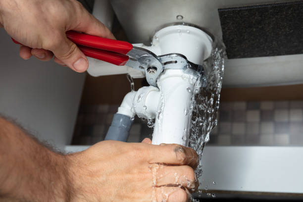 Best Local water damage restoration  in Ruskin, FL
