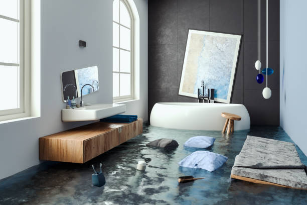 Best Professional water damage repair  in Ruskin, FL