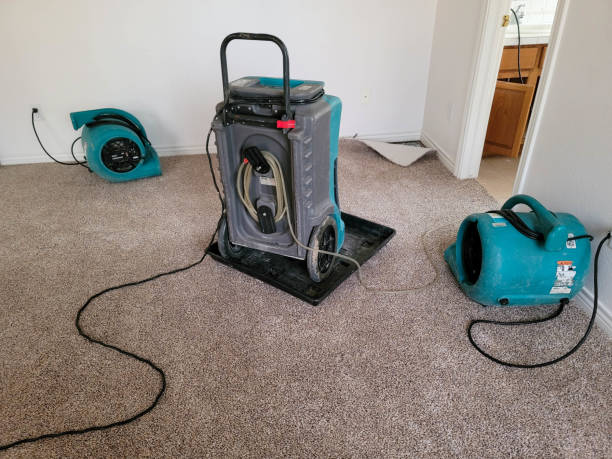 Best Commercial water damage restoration  in Ruskin, FL