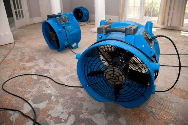 Best 24/7 water damage repair  in Ruskin, FL