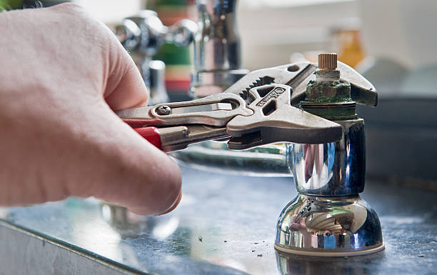 Best Water damage cleanup near me  in Ruskin, FL