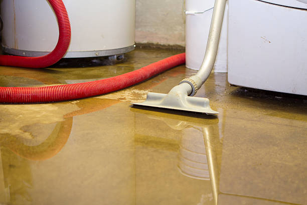 Best Water damage restoration near me  in Ruskin, FL