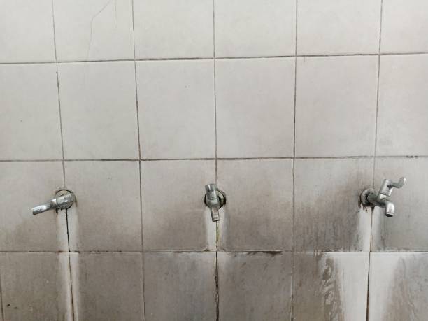 Best Carpet water damage restoration  in Ruskin, FL