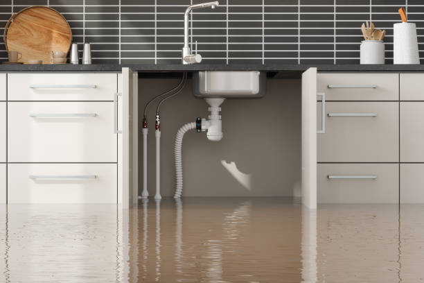 Best Flooded house restoration  in Ruskin, FL