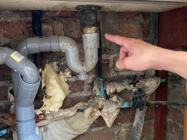 Best Water damage cleanup near me  in Ruskin, FL