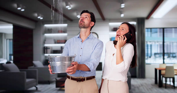 Best Residential water damage restoration  in Ruskin, FL