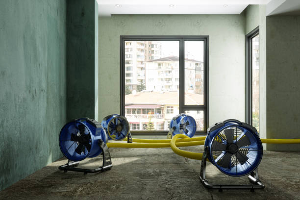 Best Water damage mitigation services  in Ruskin, FL