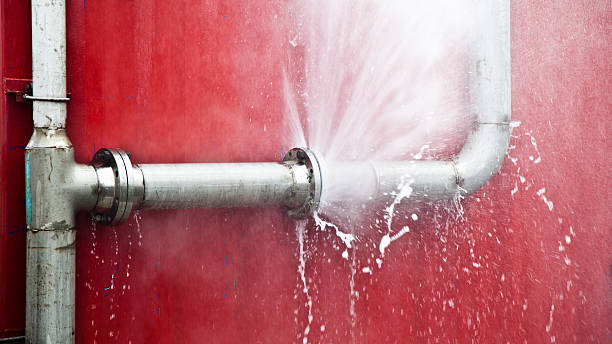 Best Professional water damage repair  in Ruskin, FL