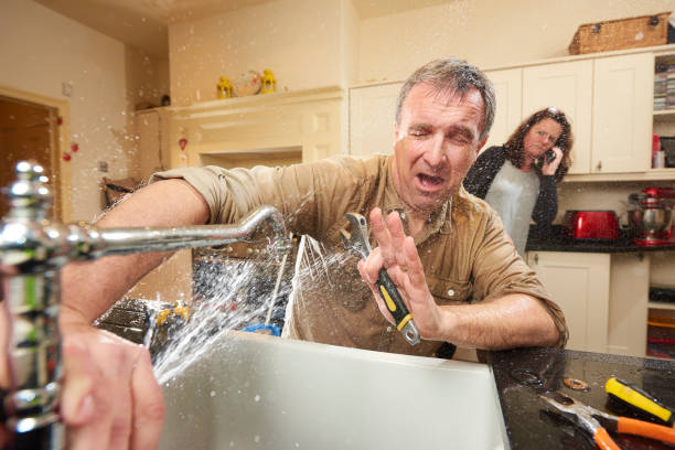 Best Fire Damage Restoration  in Ruskin, FL